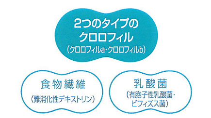 リセット美活 リセット美活